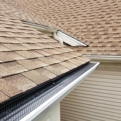 Gutters and Gutter Protection